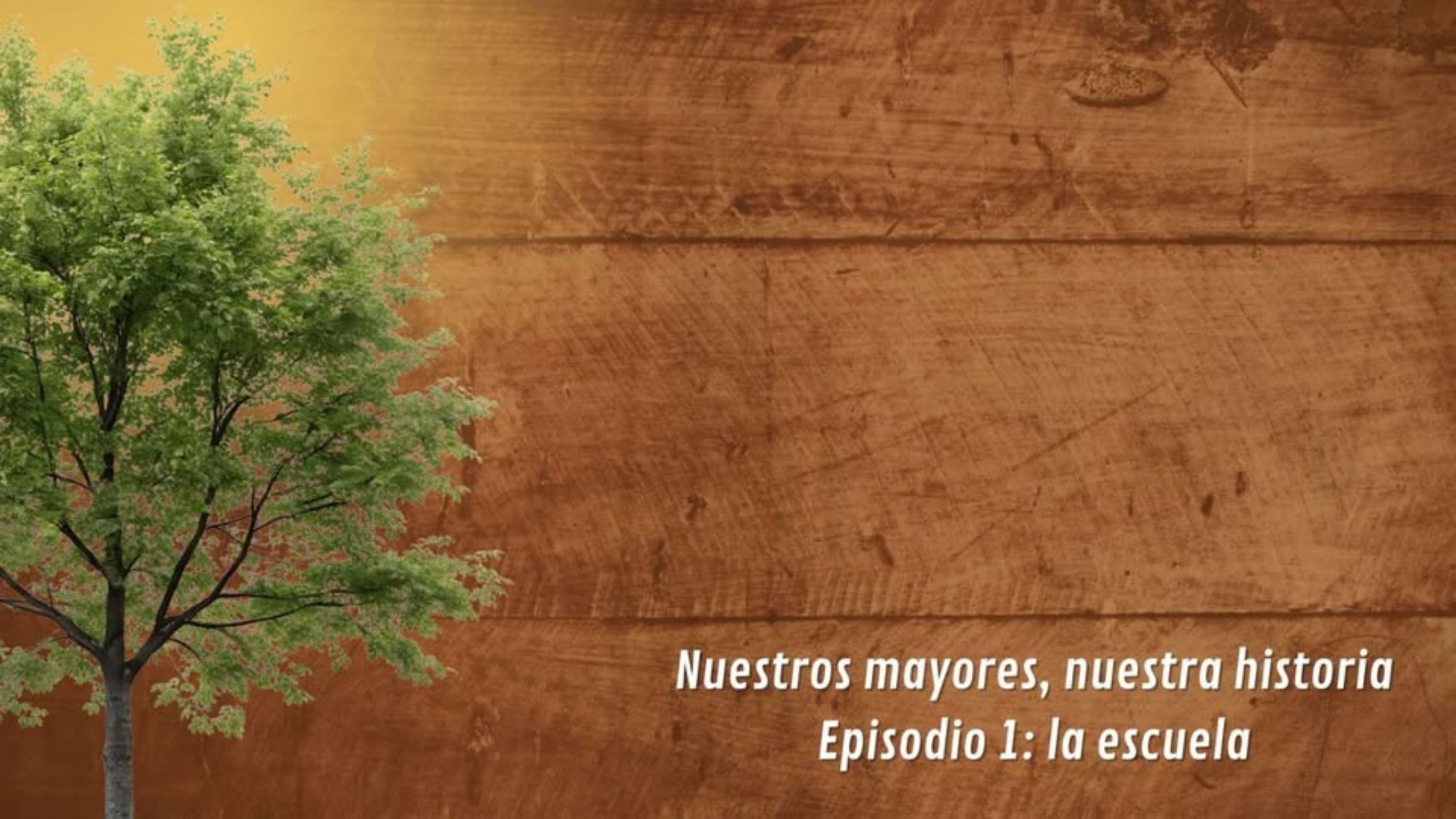 Aliso Producciones abre al público Nuestros mayores, nuestra historia