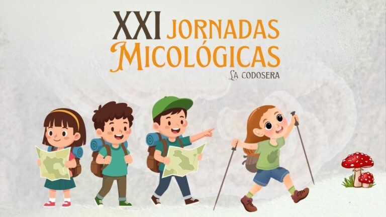 Las XXI Jornadas Micológicas traen este viernes una ruta infantil por Los Castañales